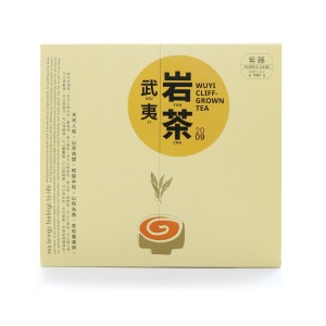 Aged Wuyi Cliff Grown Tea Year 2009 Tea Gift Set
