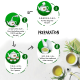 888 Kang Xi Green Tea Potbag (2g x 20s)