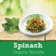 ORGANIC CARE2U Organic Spinach Noodle (200g)