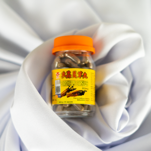 海鸥 冬虫夏草丸 60'S