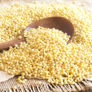 ORGANIC CARE2U Organic Millet (400g)